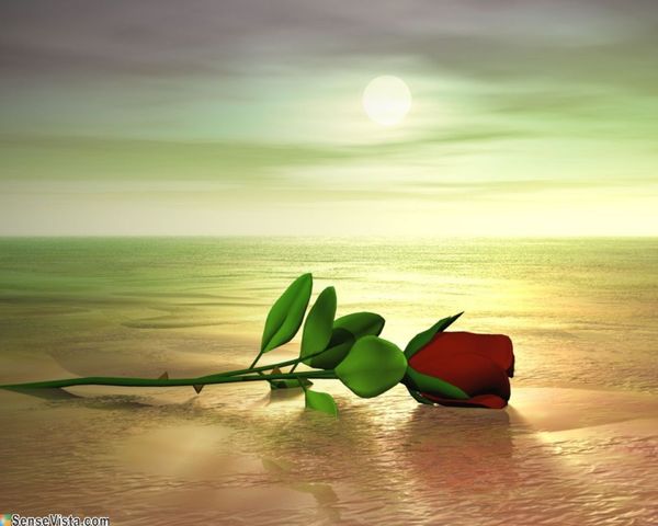 ROSE1